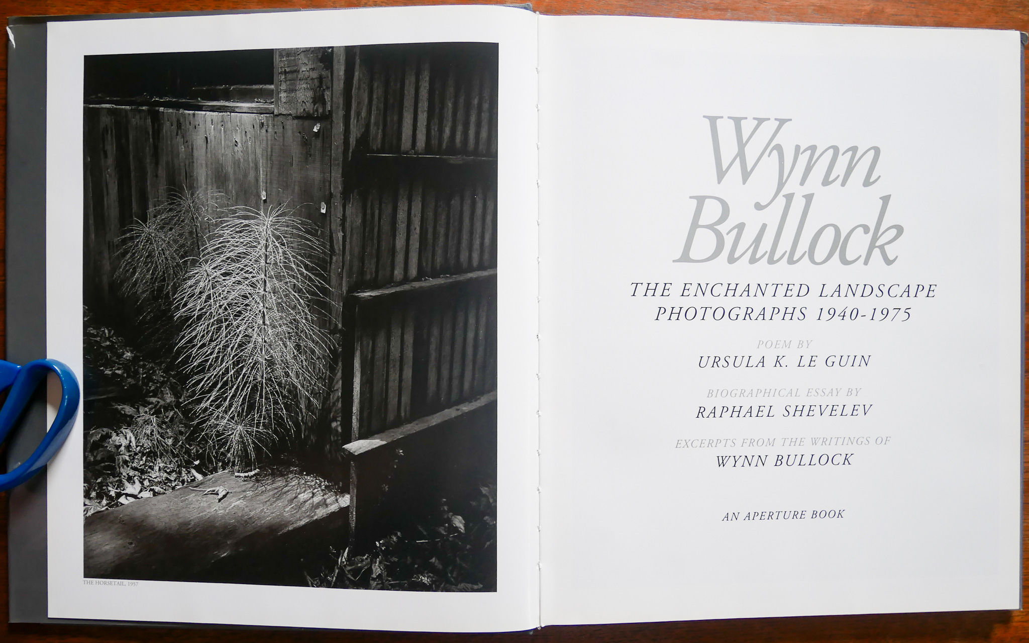 Wynn Bullock; The Enchanted Landscape Photographs 1940-1975 by 