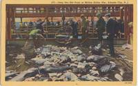 Deep Sea Net Haul, Million Dollar Pier, Atlantic City, NJ, 1946 used linen Postcard