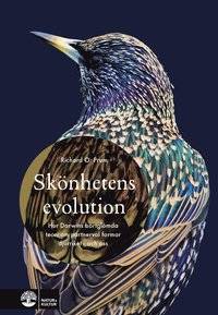 Skönhetens evolution. Hur Darwins bortglömda…