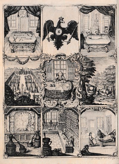 Der Artzney-Kunst ... Gazophylacium Medico-Physicum, oder Kunst-Kammer Medicinisch und Naturliche Dinge ....