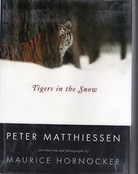 Tigers in the Snow