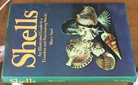 Shells ; an illustrated guide to a timeless and fascinating world