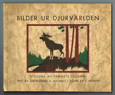 Bilder ur djurvärlden.