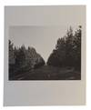 Robert Adams: A Road Through Shore Pine