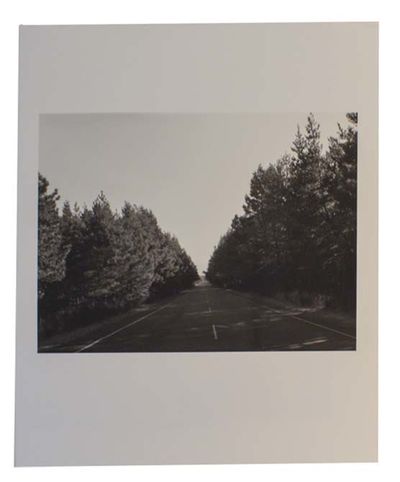 Robert Adams: A Road Through Shore Pine