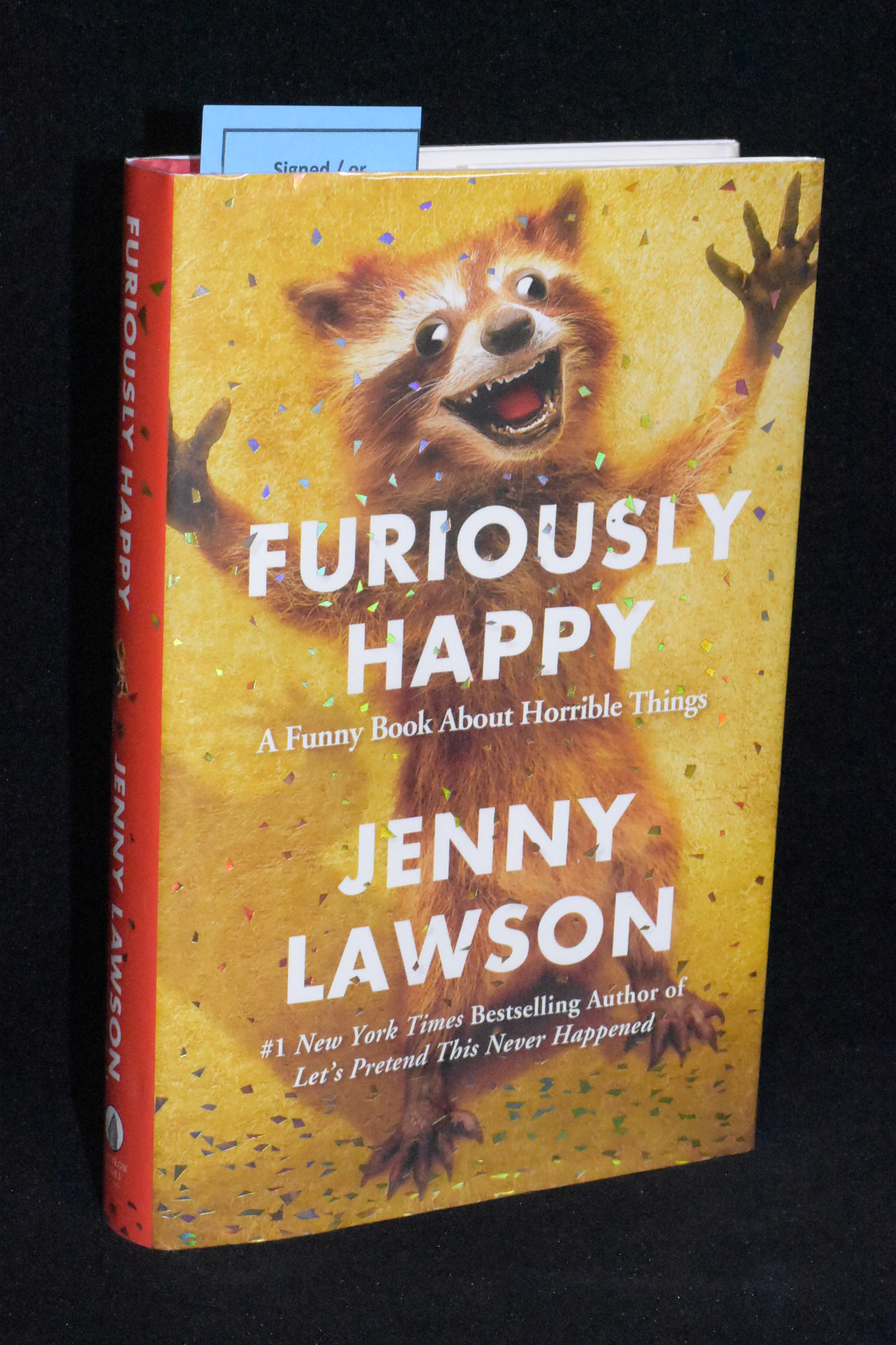Images From Jenny Lawson Book