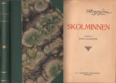 SKOLMINNEN.
