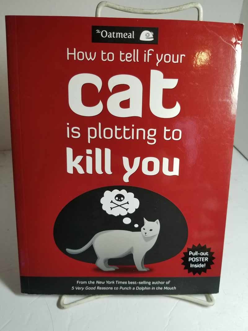 oatmeal cat plotting to kill you