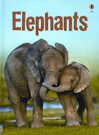 Elephants IR