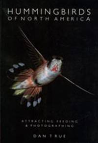 Hummingbirds of North America : Attracting, Feeding, and Photographing