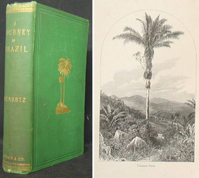 A Journey in Brazil.