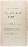 View Image 5 of 6 for A Natural History of New and Rare Ferns: Containing Species and Varieties, None of Which Are Include... Inventory #42235