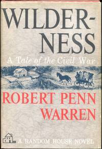 cover of Wilderness; A Tale of the Civil War