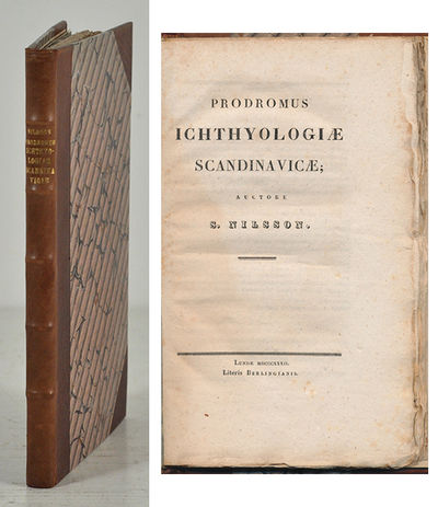 Prodromus ichthyologiæ scandinavicæ.