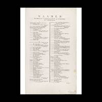 Image of the Joybedryven and Plegtigten that occurred by the arrival and during the verblyf (...)...