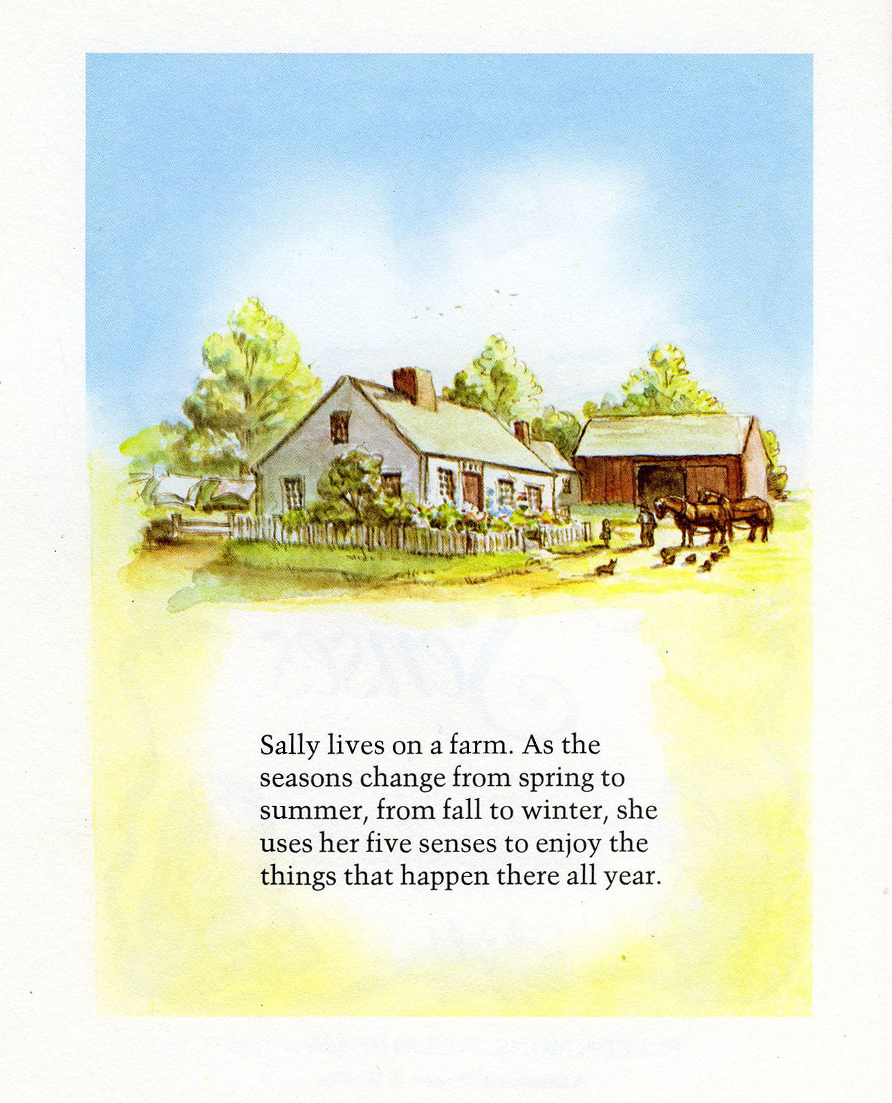 TASHA TUDOR'S FIVE SENSES by Tudor, Tasha | Gloss film over printed ...