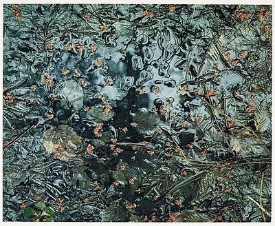 Portfolio One. The Seasons. Twelve Original Dye-transfer Prints