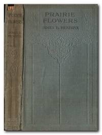 image of Prairie Flowers