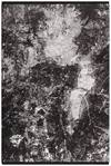 The Map (Signed Limited Edition)