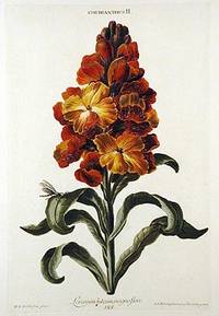 [Hortus Nitidissimis omnem per annum superbiens floribus. by Georg (1708-1770) Christoph Jakob (1695-1769) - EHRET - Signed First Edition - from Arader Galleries (SKU: 001926)