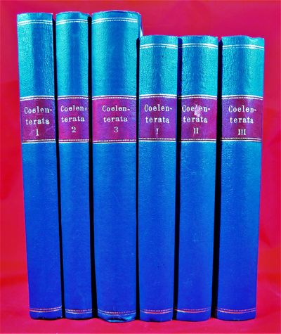 Coelenterata Offprints