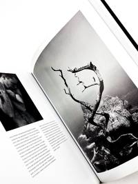 HIDE/SEEK: Difference and Desire in American Portraiture