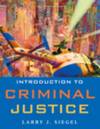 Introduction To Criminal Justice