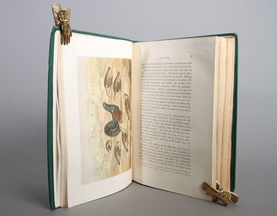 The Game Birds and Wild Fowl of Sweden and Norway; with an account of the seals and salt-water fishes of those countries. With map, Woodcuts and Chromo Illustrations. (photo 4)