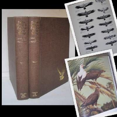Eagles, Hawks and Falcons of the World. 2 vol.