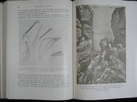 BIOLOGISK TEKNIK.  DJURENS VÄRLD 14. (photo 2)