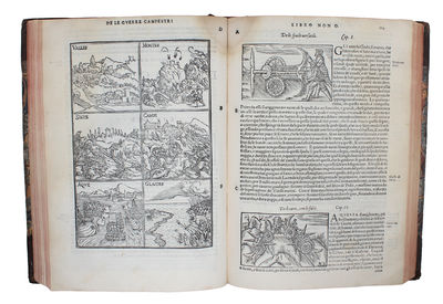 Historia delle Genti et della Natura delle cose settentrionali. Da Olao Magno Gotho Arcivescovo di Upsala nel Regno di Suezia e Gozia, descritta in XXII Libri. Nuoamente tradotta in lingua Toscana. Opera molto diletteuole per le varie & mirabili cose,... (photo 4)