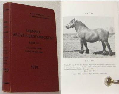 Svenska Ardennerstamboken. 1960. Rasstambok för…