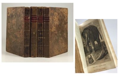 Animal Biography, or, Popular Zoology;…