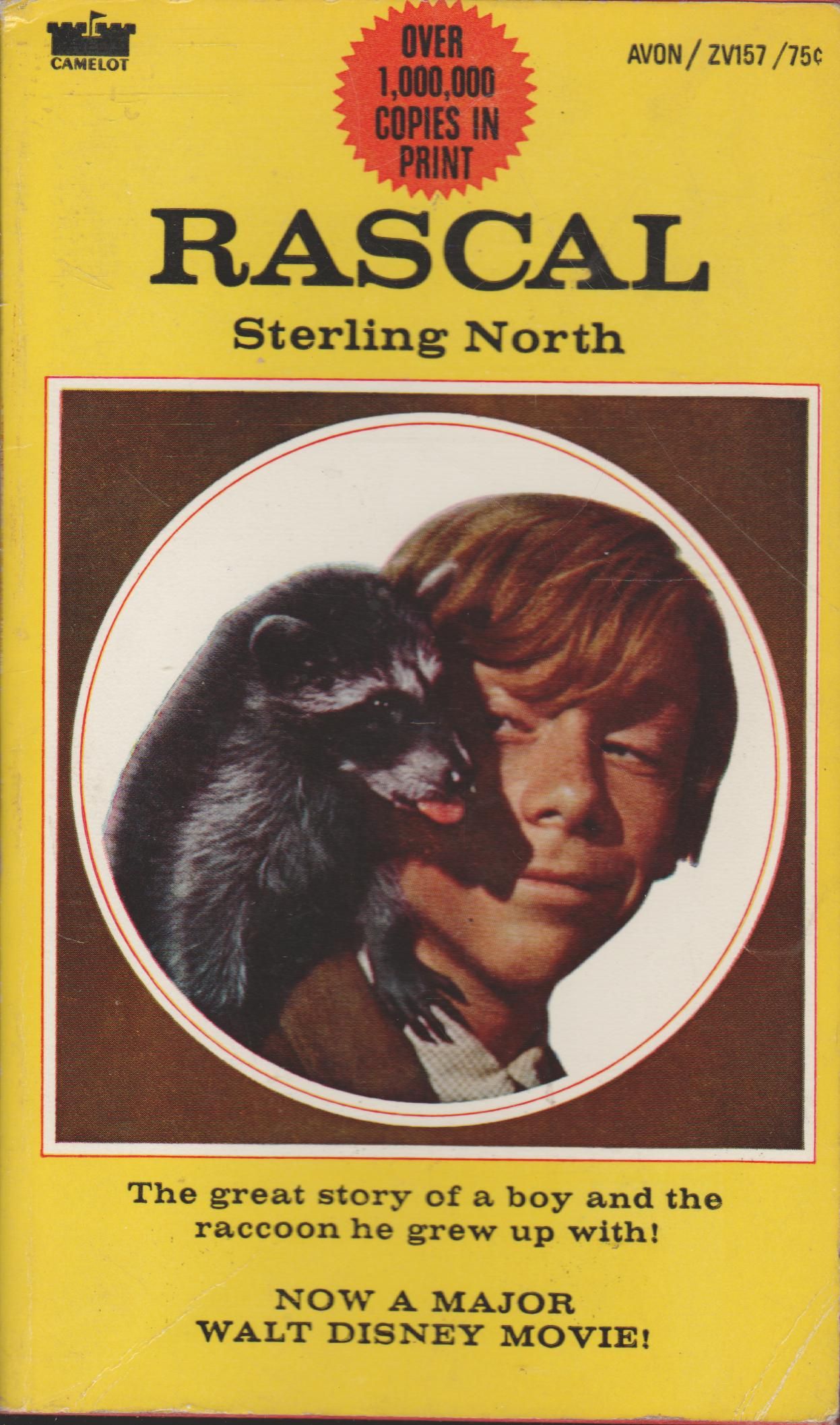 The Book Rascal Little Rascal Sterling North – Little rascal: the true story of a pet ...