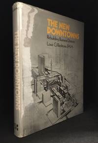 image of The New Downtowns; Rebuilding Business Districts