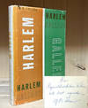 Harlem Gallery: Book I, The Curator