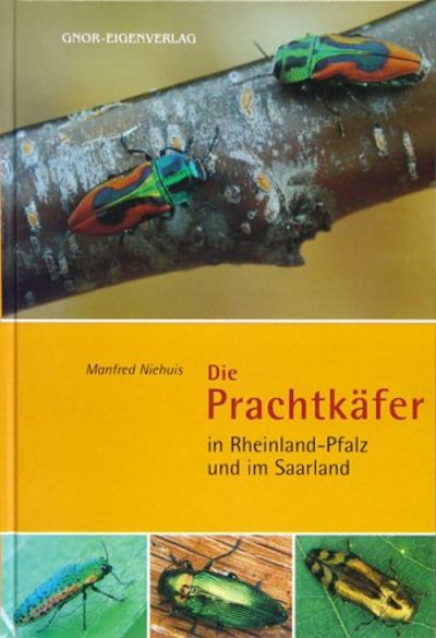 Die Prachtkäfer in Rheinland-Pfalz.