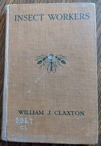 image of Insect Workers