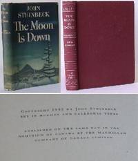 image of The Moon is Down