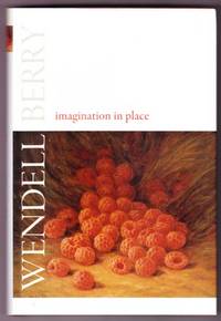 IMAGINATION IN PLACE. ESSAYS