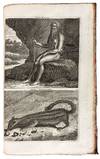 View Image 2 of 31 for Voyages ... par la Moscovie, en Perse, et aux Indes Orientales Inventory #42045