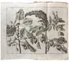 View Image 11 of 31 for Voyages ... par la Moscovie, en Perse, et aux Indes Orientales Inventory #42045