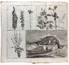View Image 4 of 31 for Voyages ... par la Moscovie, en Perse, et aux Indes Orientales Inventory #42045