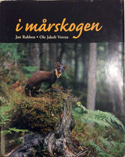 I mårskogen
