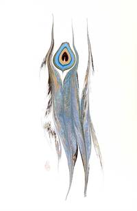 Peacock Feather Original Marbled Graphic