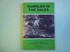 Rambles in the Dales: Twenty Longer Cross Country Walks in the Yorkshire Dales (Warne walking guides)