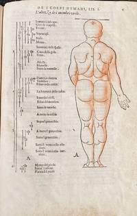 Di Alberto Durero pittore, e geometra chiarissimo. Della simmetria dei corpi humani. Libri...