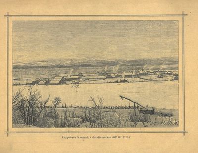 Viridarium Norvegicum. Norges væxtrige. Et bidrag til Nord-Europas natur- og culturhistorie. Af (...). Professor i botanik ved Universitetet i Christiania. Udgivet som Universitetsprogram. I-III. (photo 4)