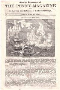 image of The Whale Fishery