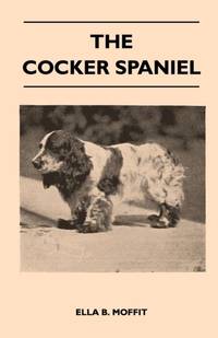 The Cocker Spaniel - Companion, Shooting Dog And Show Dog - Complete Information On History,...